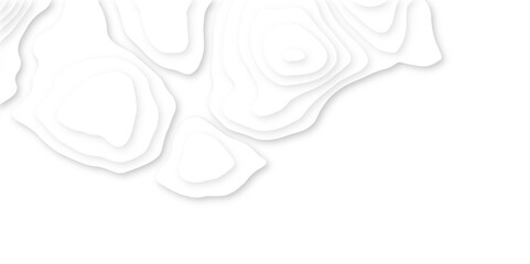 White paper cut decoration textured with wavy layers 3d topography relief background. Abstract white paper cut banner. Geometric layered curve line white vector background. 
