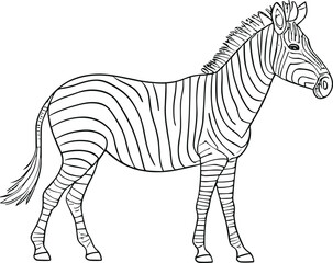 Fototapeta na wymiar Zebra in black and white stripes. Vector illustration. AI generated illustration.