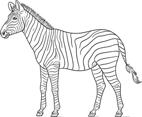 Zebra in black and white stripes. Vector illustration. AI generated illustration.