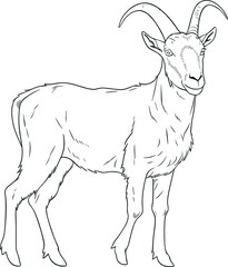 new funny goat cute line art and vector art, goat illustration and outline. AI generated illustration.