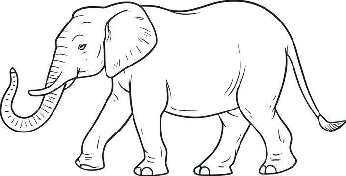 Elephant, line drawing side view picture isolated on white background. AI generated illustration.