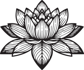 Flower coloring page and books, monochrome vector sketch, waterlily sketch, waterlily vector, floral background with pansy natural leaf collection, illustration pencil art flower, waterlily drawings