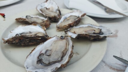 vigo,  cores, sabores, luzes, paisagens, arte, celebração, festa, paisagem, viagem