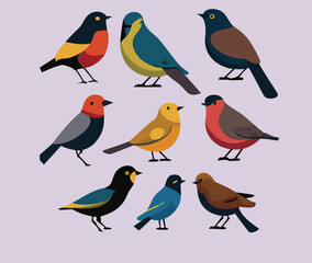 Watercolor birds set. Collection of cute cartoon birds. Vector illustration