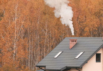 A house with smoke billowing from its chimney stands amidst the golden hues of autumn trees. The house has a grey roof and three windows on it. © AlexGo