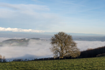 Obraz premium wafts of fog in the mountains of Austria