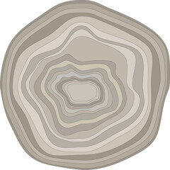 Fototapeta premium Image of a horizontal section of a tree trunk. Radial abstract rings. [Vector]