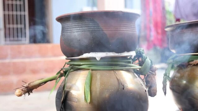 celebrating Traditional Thai Pongal festival to sun god with pot, lamp,wood fire stove, fruits and sugarcane. Making Sakkarai or sugar pongal and ven pongal in sand stove in traditional method
