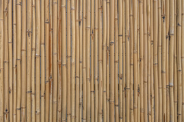 abstract background of a bamboo fence texture