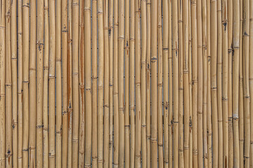 abstract background of a bamboo fence texture