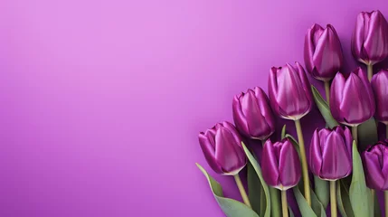 Rolgordijnen Elegant Purple Tulips on a Lavender Background © MP Studio