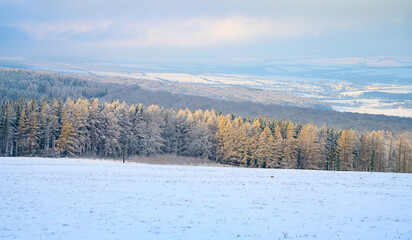 winter, white carpathians, snow, mountains, forest, christmas,