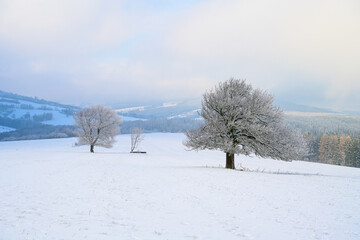 Fototapeta na wymiar winter, white carpathians, snow, mountains, forest, christmas,
