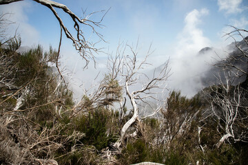 Berglandschaft