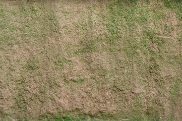 Earth green paper texture, high resolution abstract background.