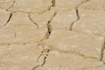 Close-up of Arid Cracked Earth Texture