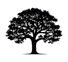 tree silhouette isolated on white