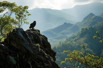 Schilderijen op glas The Philippine Eagle-Owl perching on a rocky outcrop overlooking a scenic mountain landscape © Veniamin Kraskov