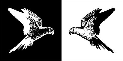 Illustration vector graphics of bird icon