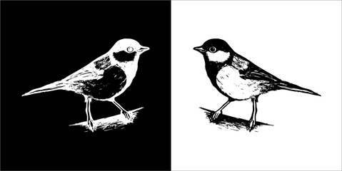 Illustration vector graphics of bird icon