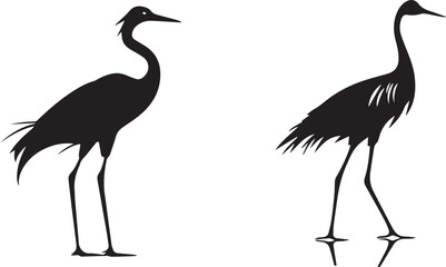 Vector silhouette of a black ostrich