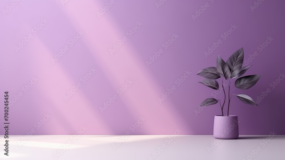 Poster minimal abstract light purple background for product presentation. tree shadow and light from window