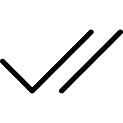 Double checkmark icon in outline style. Simple seen symbol vector illustration — pixel-perfect icon.