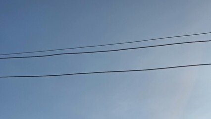 electrical wire