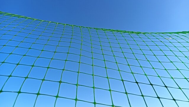 green net