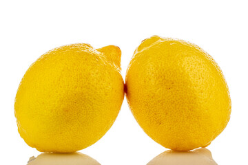 Two yellow juicy lemons, macro, isolated on white background.