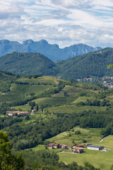 Fototapeta na wymiar Landscape on vineyards in Val Curone - Montevecchia (Italy)