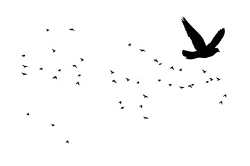 Birds flying in a natural view. Vector images. White background. 