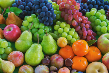 秋の味覚の集合　