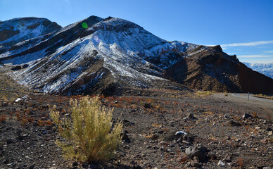 Landscape of a valley overgrown with desert vegetation and cacti in the rock desert in California,...