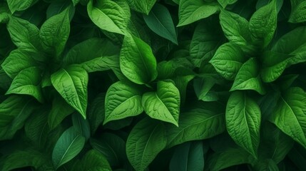 Green leaf nature background Ai Generative