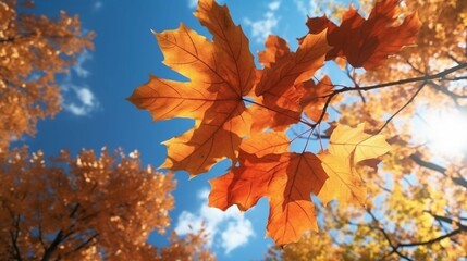 Maple leaf Autumn Fall forest background blue sky land Ai Generative