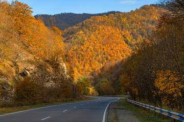 Road in autumn forest in mountains. Armenia 