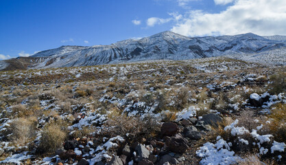 Snow in the mountains, Snow-covered mountain pass, desert plants under the snow in summer