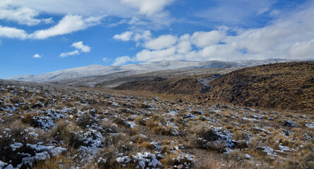 Snow in the mountains, Snow-covered mountain pass, desert plants under the snow in summer