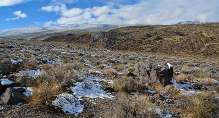 Snow in the mountains, Snow-covered mountain pass, desert plants under the snow in summer