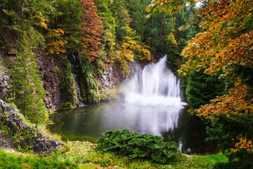 Dancing fountain in pond