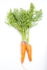 Ripe carrots on a white background