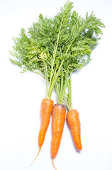 Ripe carrots on a white background