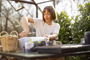 Naklejka na ściany i meble Young woman filling seedling trays with a soil, sowing flower seeds at backyard. Tray with green sprouts in front. Concept of a hobby or small business of growing flowers.