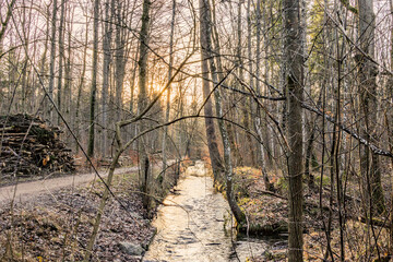 Rays of sunshine fall on the path beside the Brunnenbach stream in Siebenbrunn, the smallest district of the Fugger city of Augsburg, on a winter's day with a blue sky