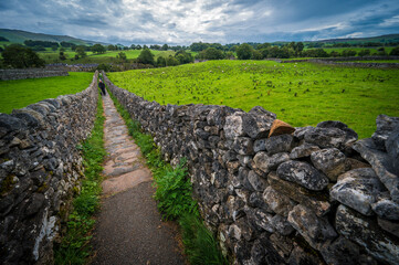 Pathway and stone walls in the Yorkshire Dales, England