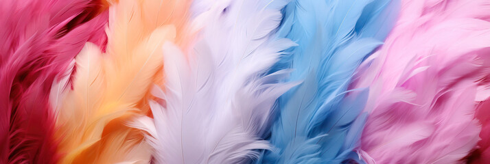 Beautiful banner with pastel colored colorful feathers.