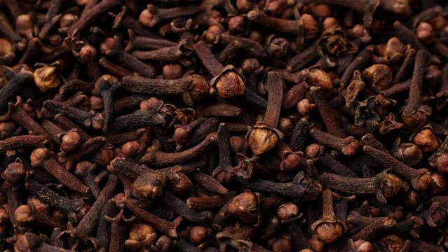 Zoom frame spice whole cloves rotate. Spice cloves 