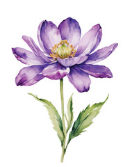 Seamless border with purple watercolor flowers isolated on white background