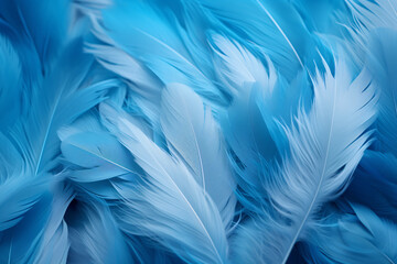 Fototapeta na wymiar Abstract Blue Feather Background
